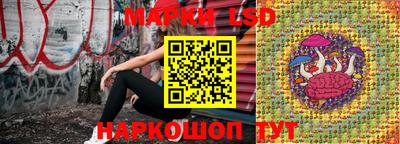 мдпв Новозыбков