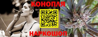 мдпв Новозыбков