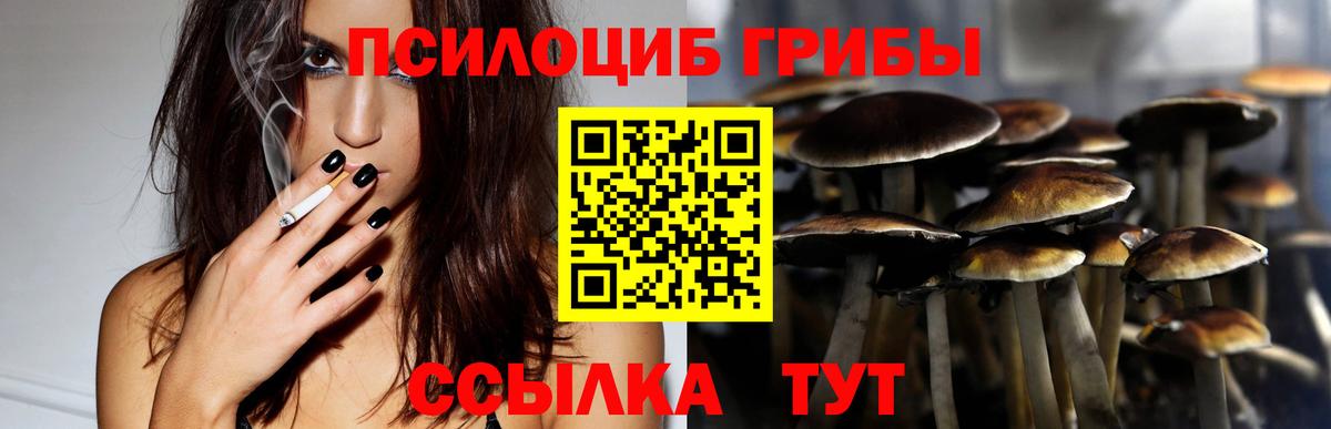 Галлюциногенные грибы Psilocybe  Псилоцибиновые грибы MAGIC MUSHROOMS  Вход с VPN  Усолье-Сибирское 